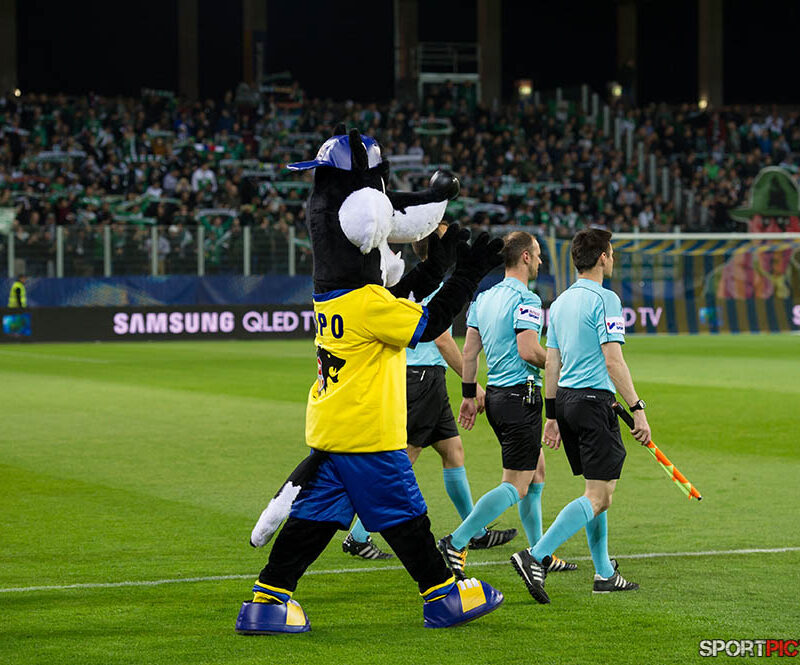 20170405-SKN St. Pölten – Rapid Wien 05042017 (2)