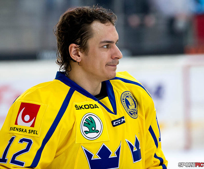 20170406-Österreich – Schweden 06042017 (11)