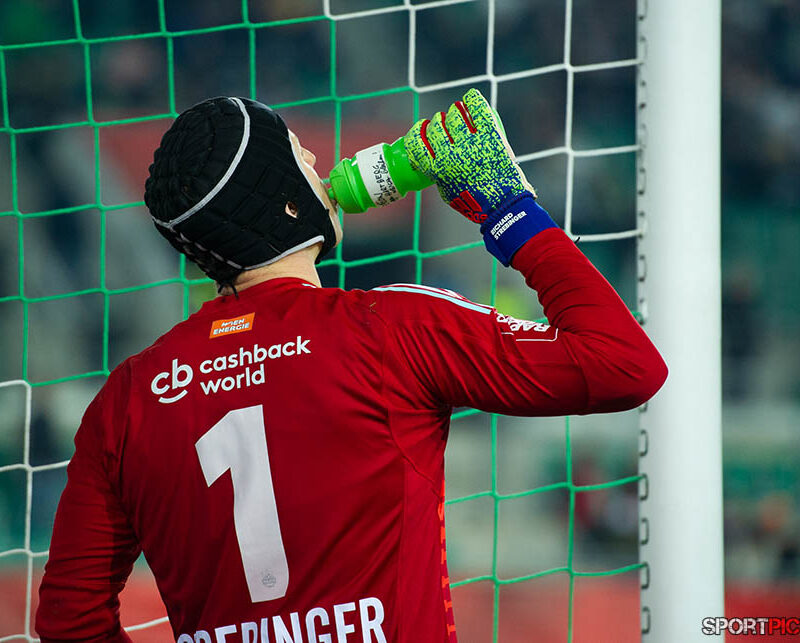 20190217-Rapid Wien – TSV Hartberg 17022019 (29)