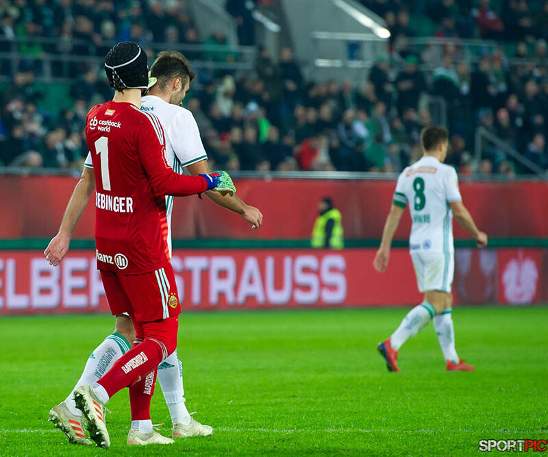 20190217-Rapid Wien – TSV Hartberg 17022019 (31)