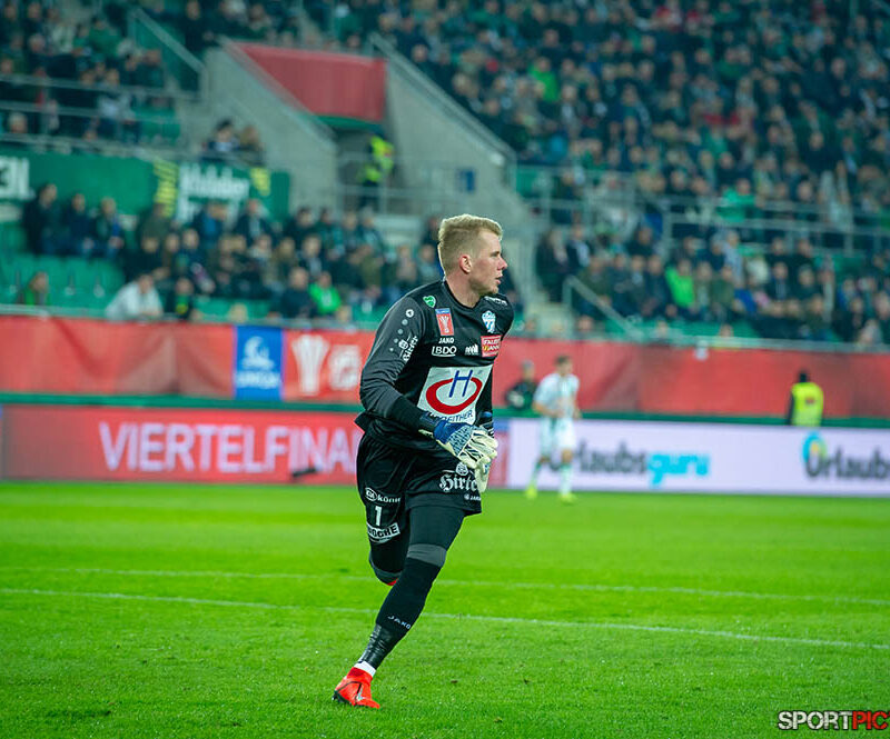 20190217-Rapid Wien – TSV Hartberg 17022019 (7)