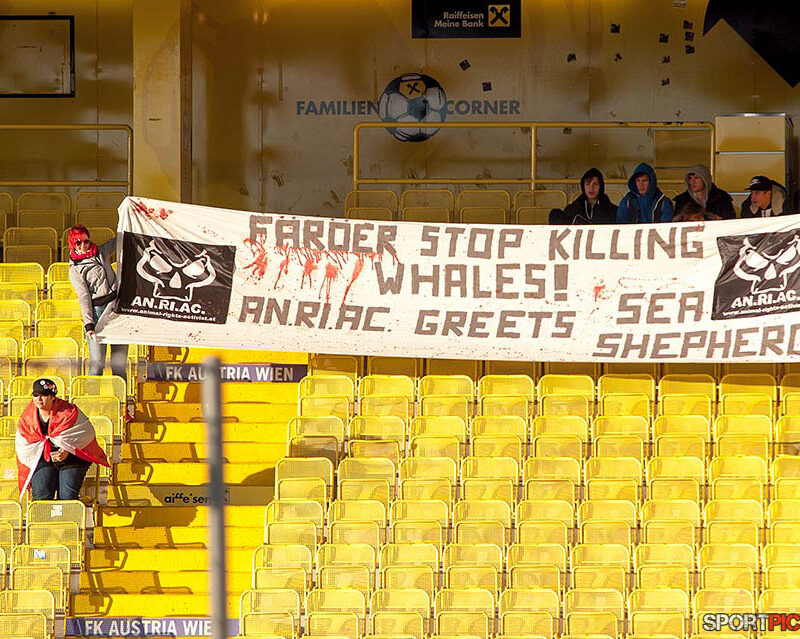 20160329-Österreich U21 – Faroer Inseln U21 29032016 (21)