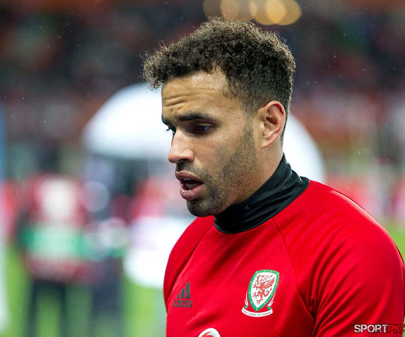 20161006-Österreich – Wales 06102016 (11)