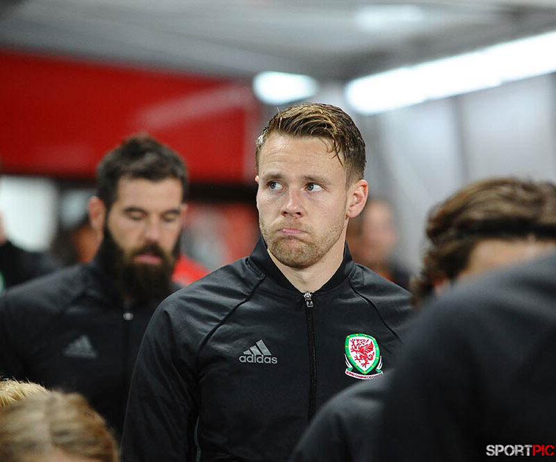 20161006-Österreich – Wales 06102016 (15)