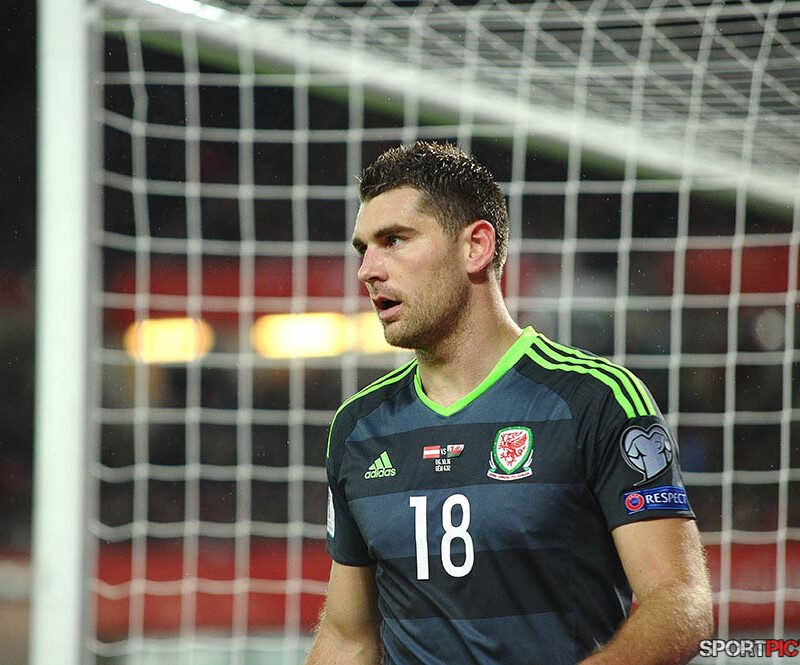 20161006-Österreich – Wales 06102016 (35)