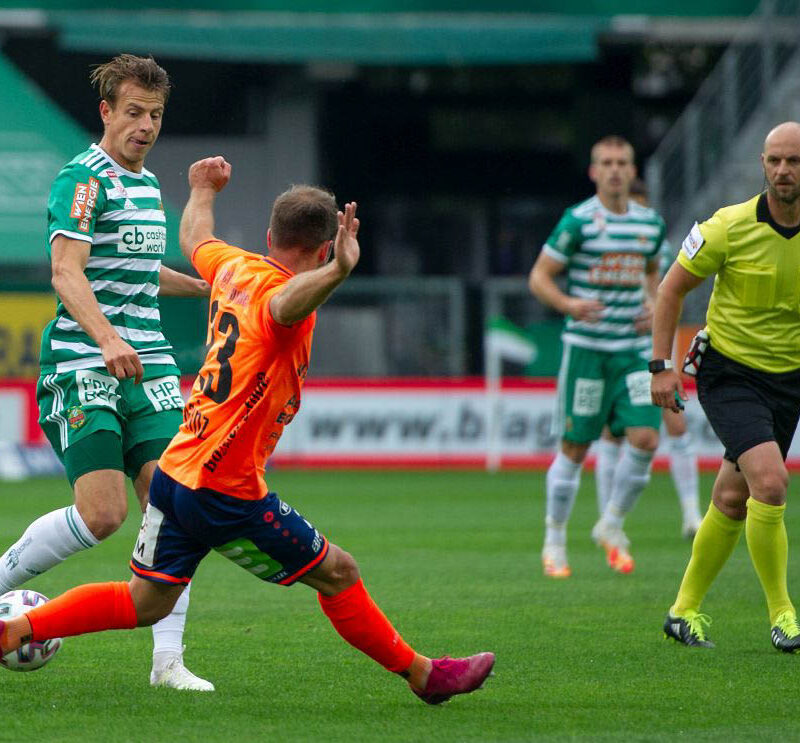 Rapid Wien – TSV Hartberg 21062020 (4)