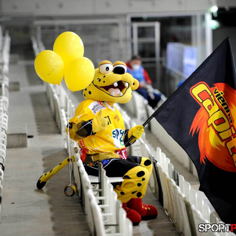 Vienna Capitals vs EC KAC