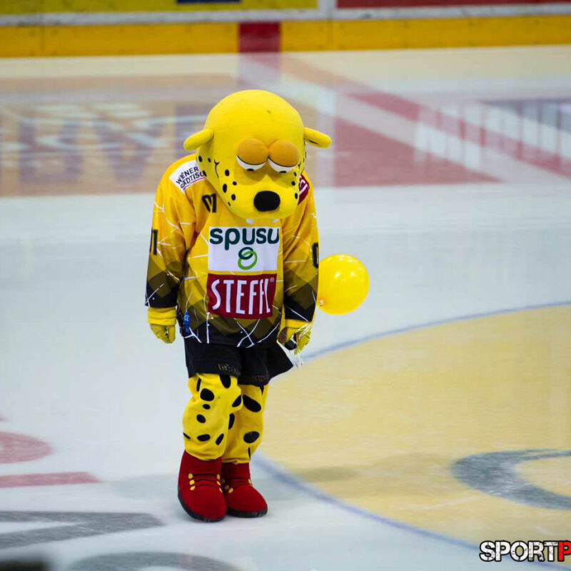 Vienna Capitals vs EC KAC