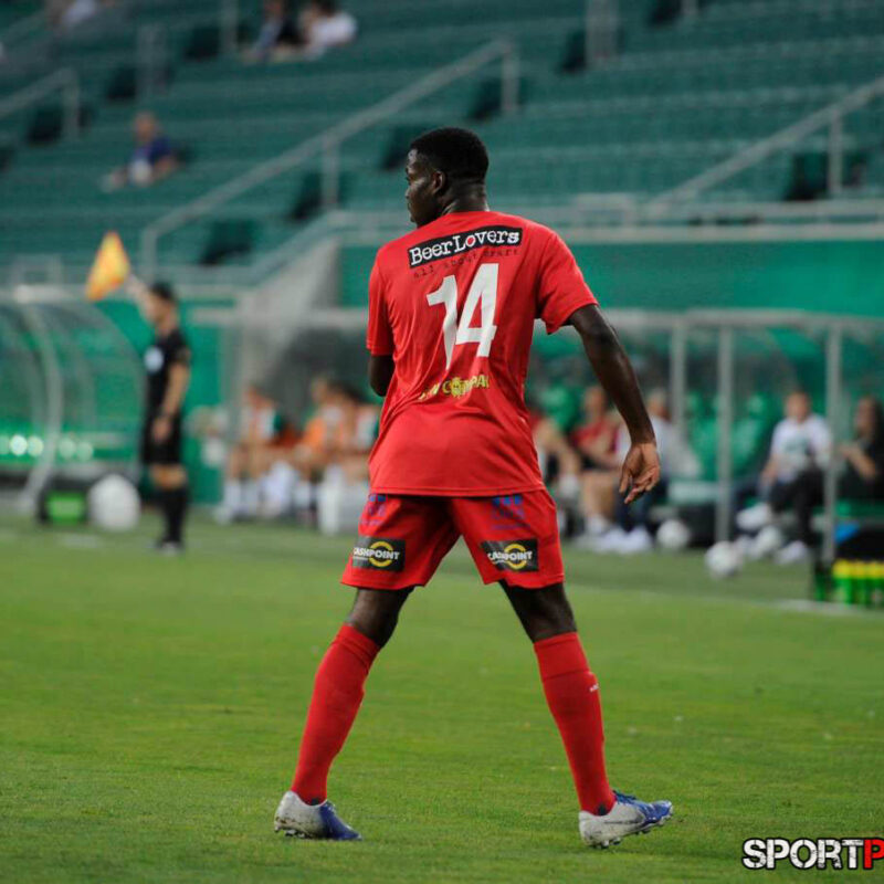 Rapid Wien -Wiener Viktoria