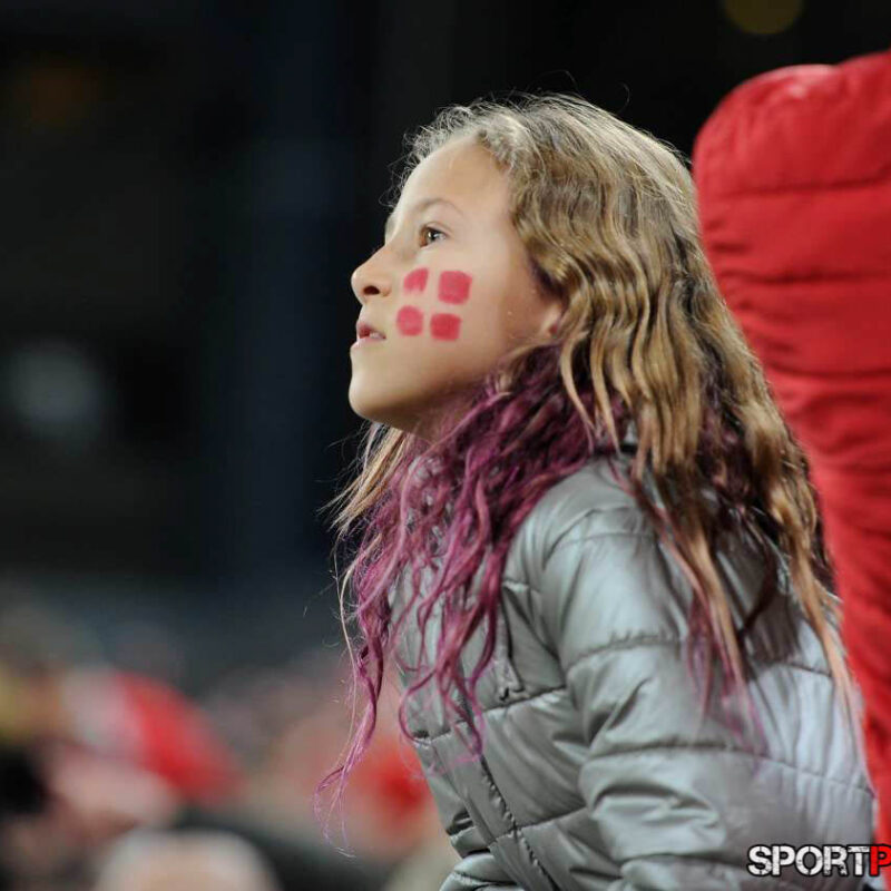 Daenemark – Oesterreich