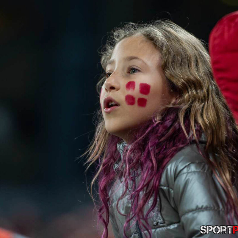 Daenemark – Oesterreich