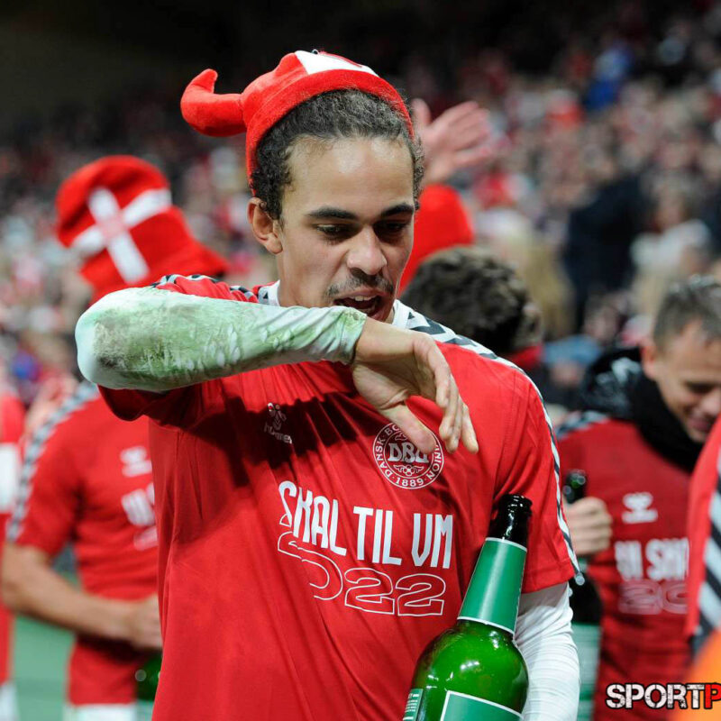 Daenemark – Oesterreich