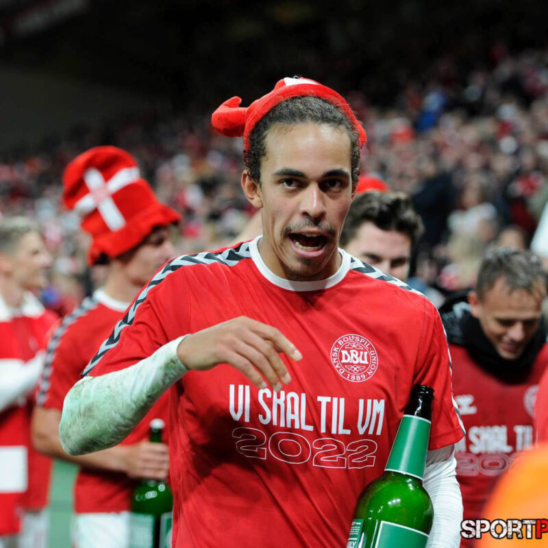 Daenemark – Oesterreich