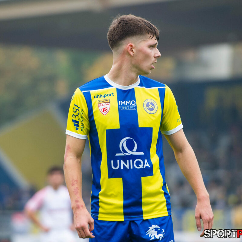 First Vienna 1894 – Young Violets