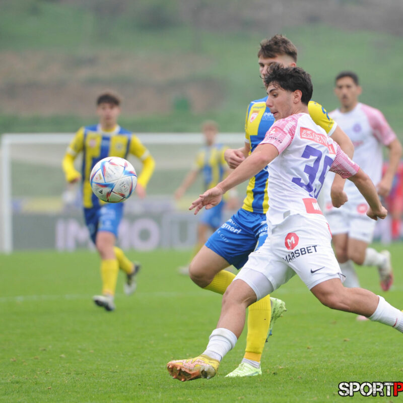 First Vienna 1894 – Young Violets