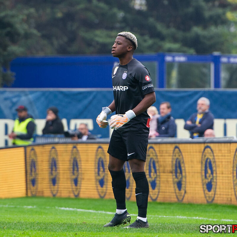 First Vienna 1894 – Young Violets