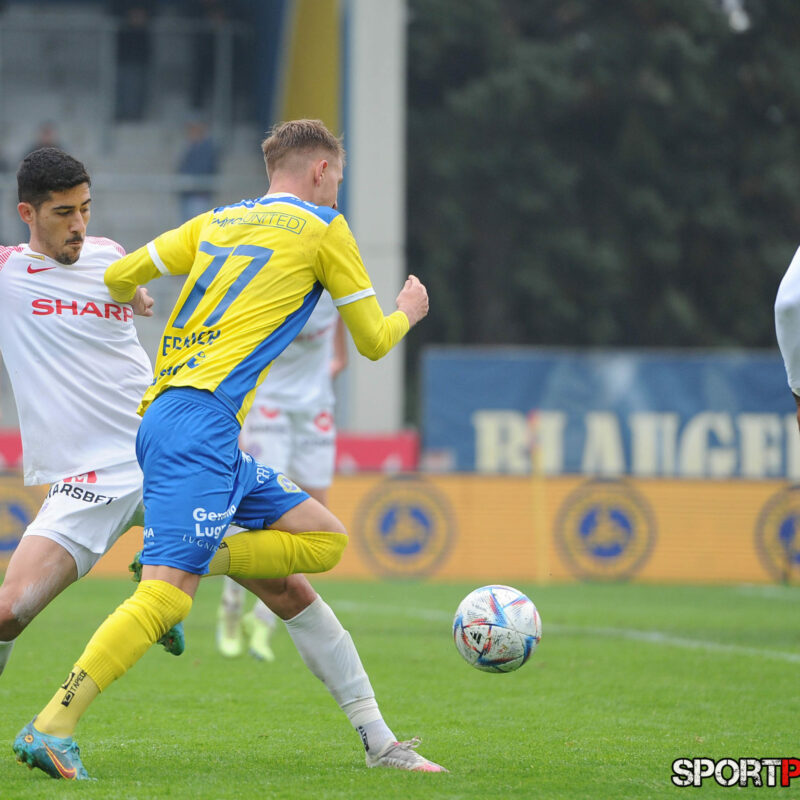 First Vienna 1894 – Young Violets