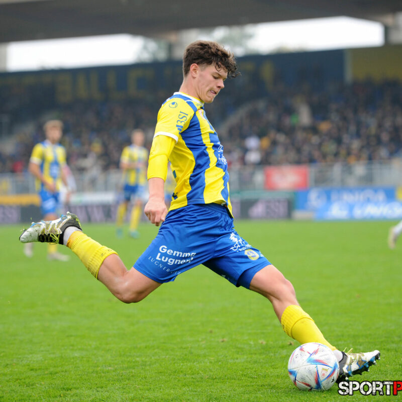 First Vienna 1894 – Young Violets