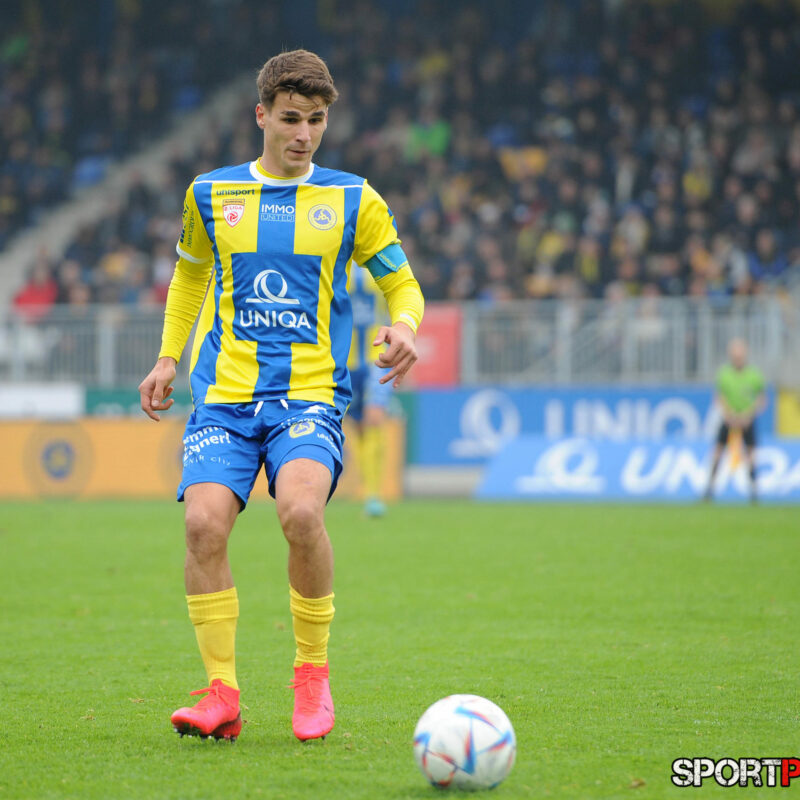 First Vienna 1894 – Young Violets