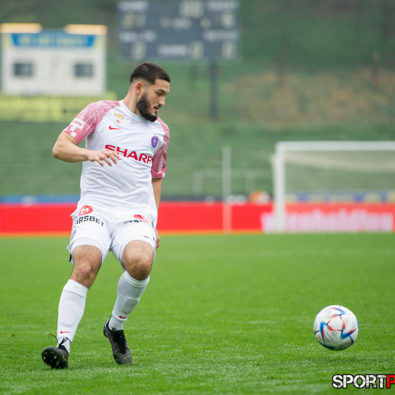 First Vienna 1894 – Young Violets