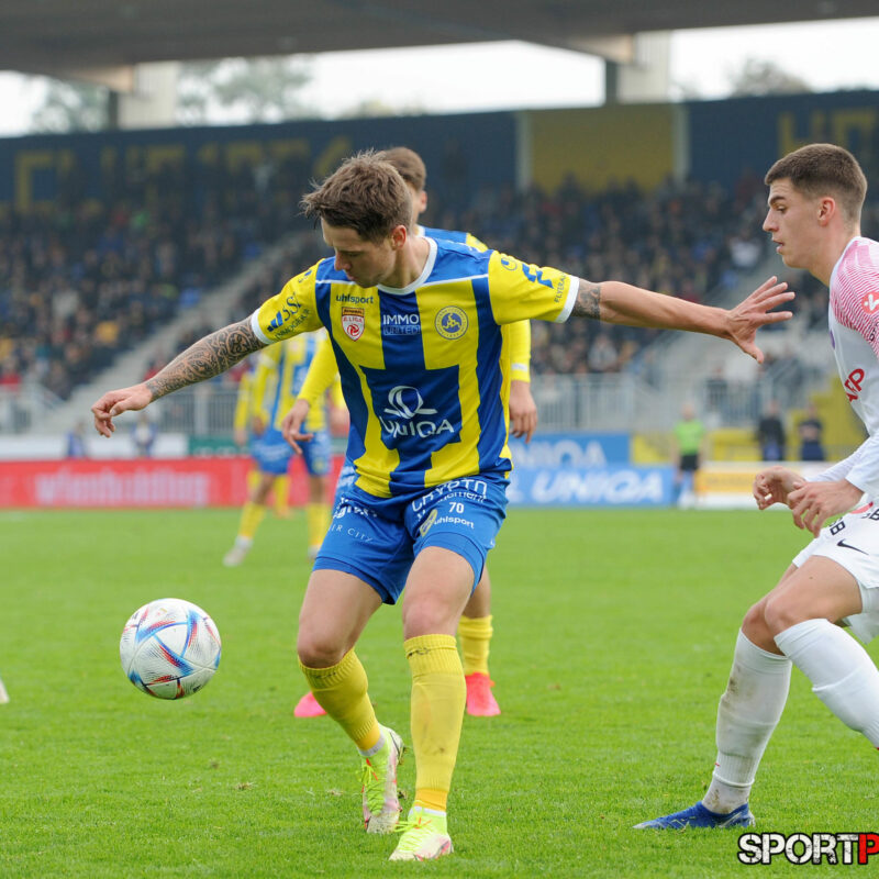 First Vienna 1894 – Young Violets