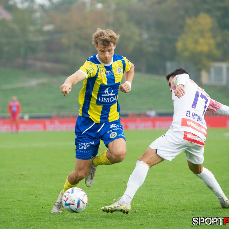 First Vienna 1894 – Young Violets