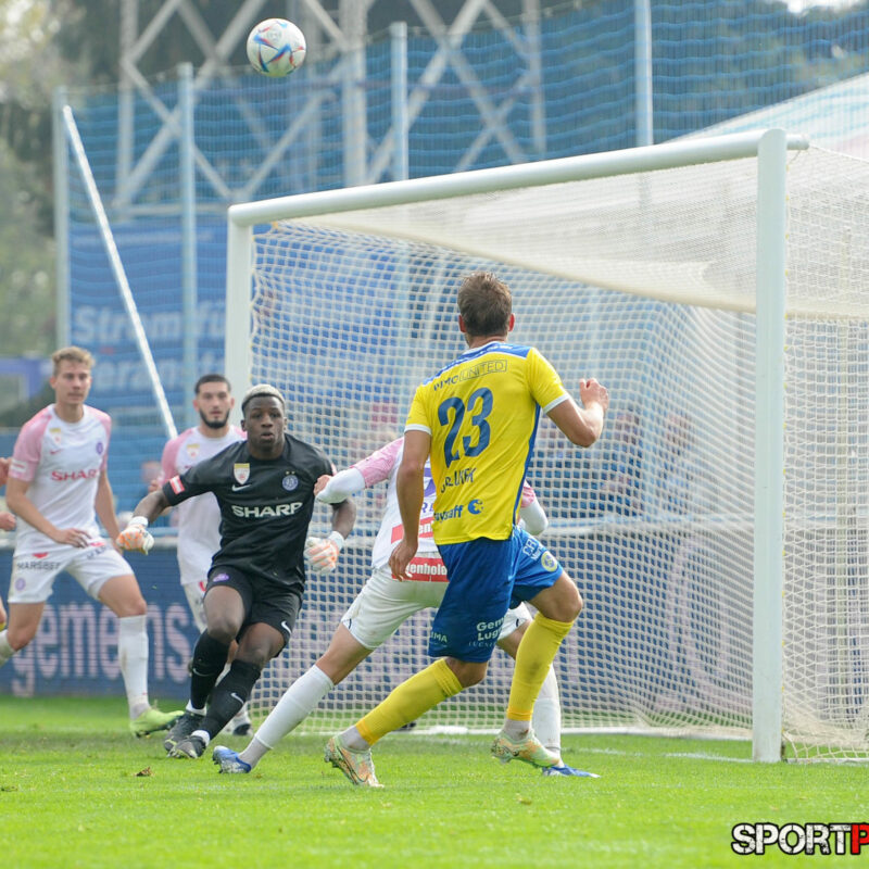 First Vienna 1894 – Young Violets