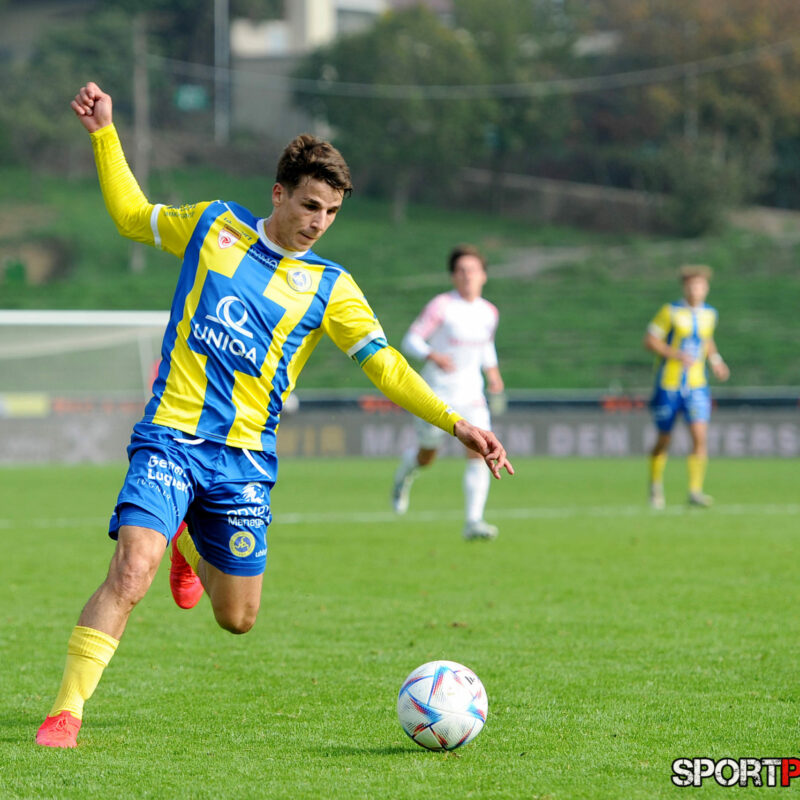 First Vienna 1894 – Young Violets