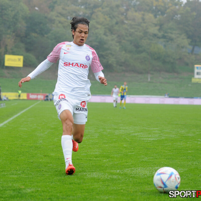 First Vienna 1894 – Young Violets