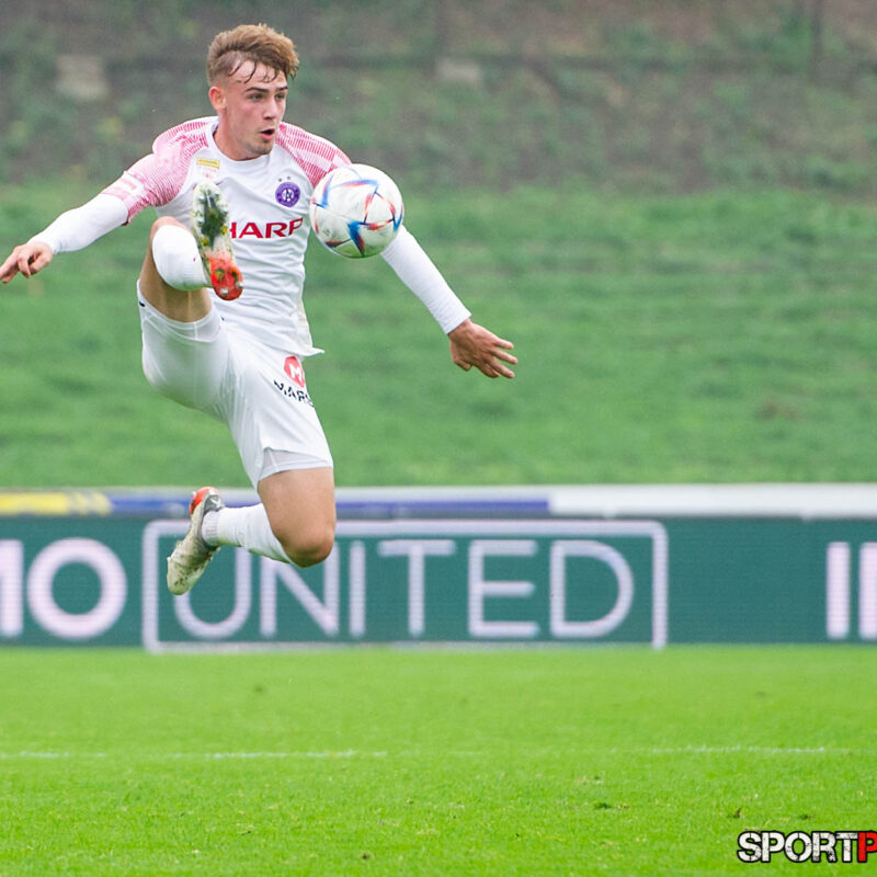 First Vienna 1894 – Young Violets