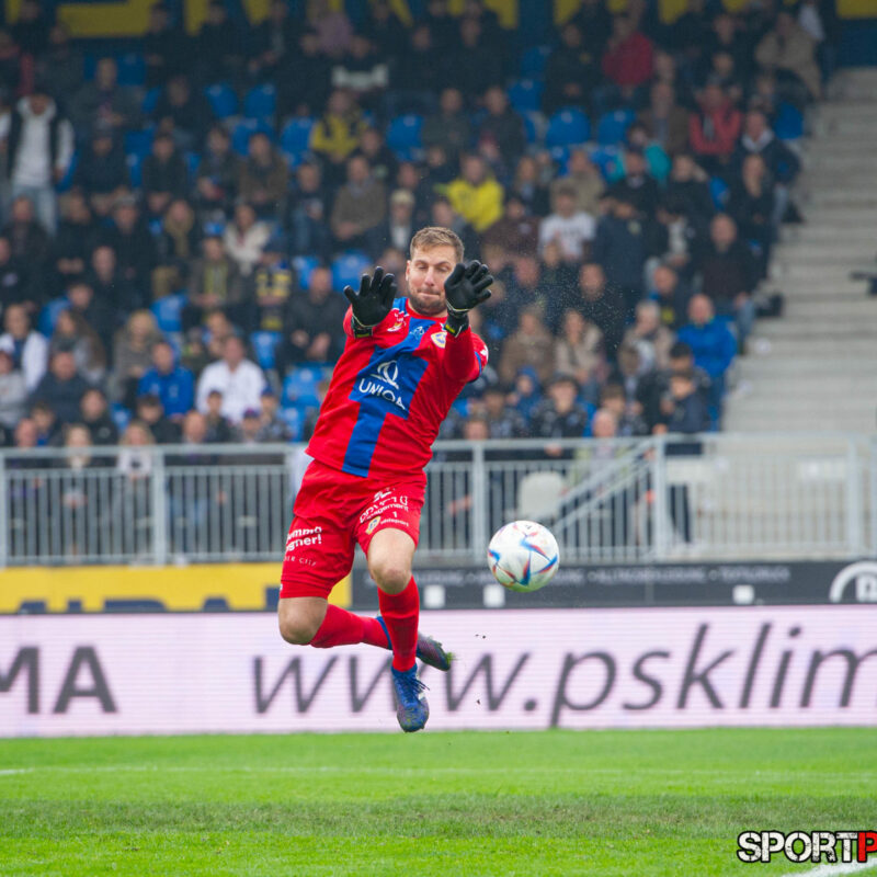 First Vienna 1894 – Young Violets