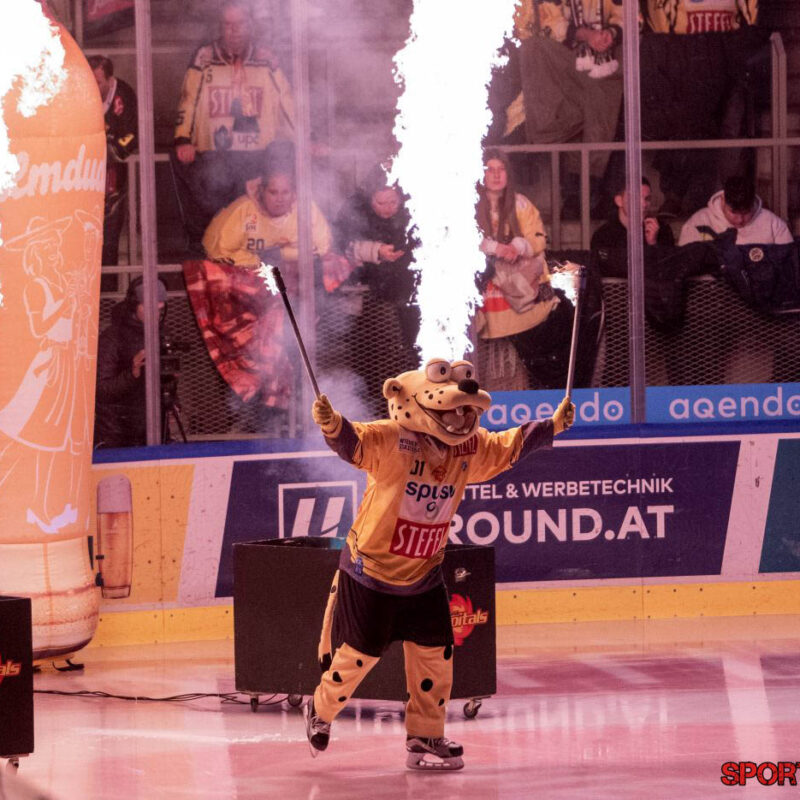 Vienna Capitals – HC Innsbruck