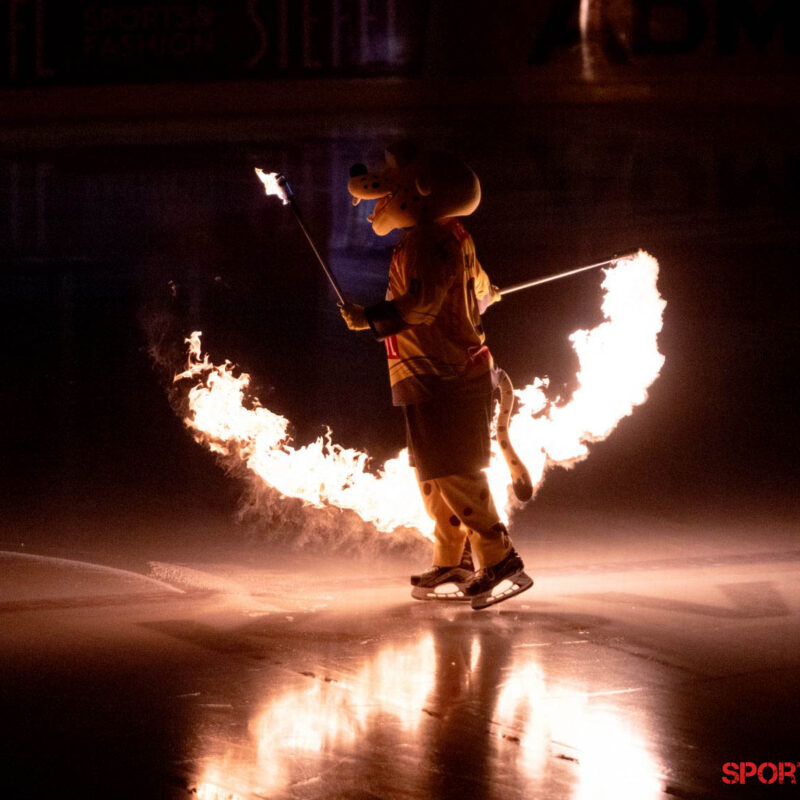 Vienna Capitals – HC Innsbruck