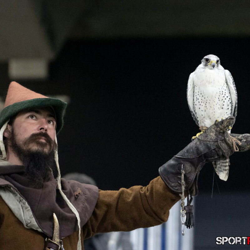 Slowakei – Österreich