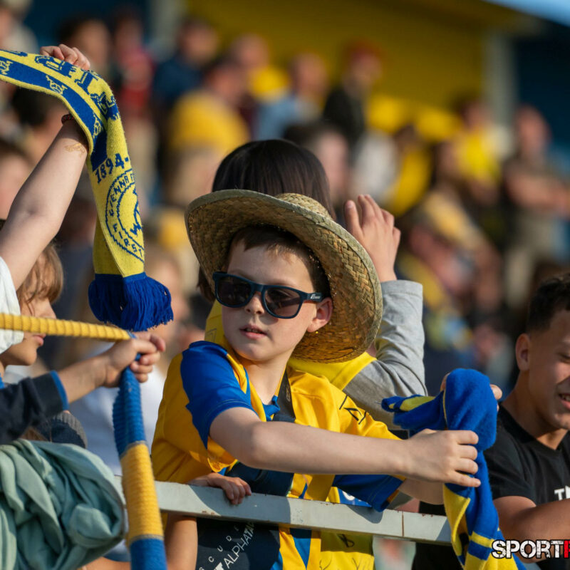 First Vienna – SKU Amstetten