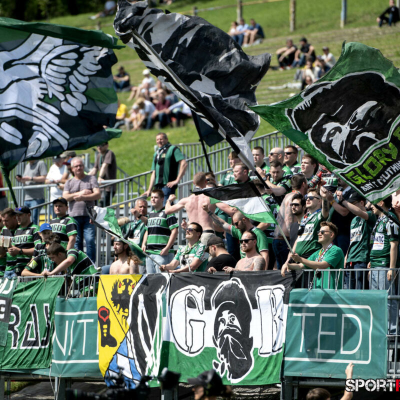 First Vienna – SV Ried