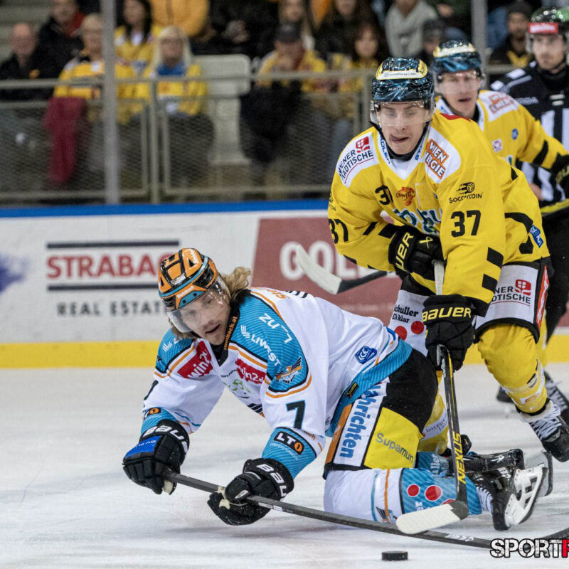 Vienna Capitals – Black Wings Linz