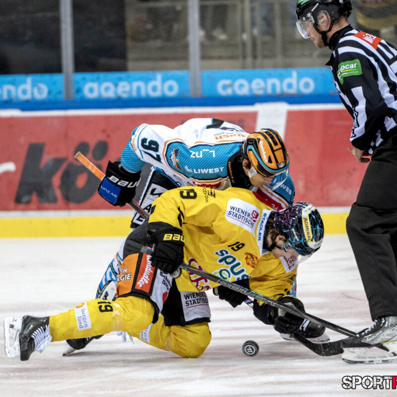 Vienna Capitals – Black Wings Linz