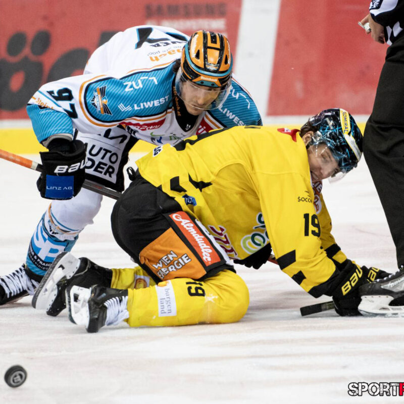 Vienna Capitals – Black Wings Linz