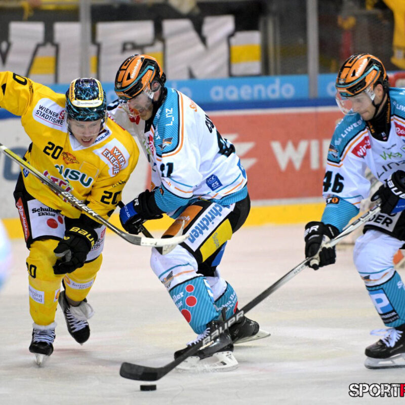 Vienna Capitals – Black Wings Linz