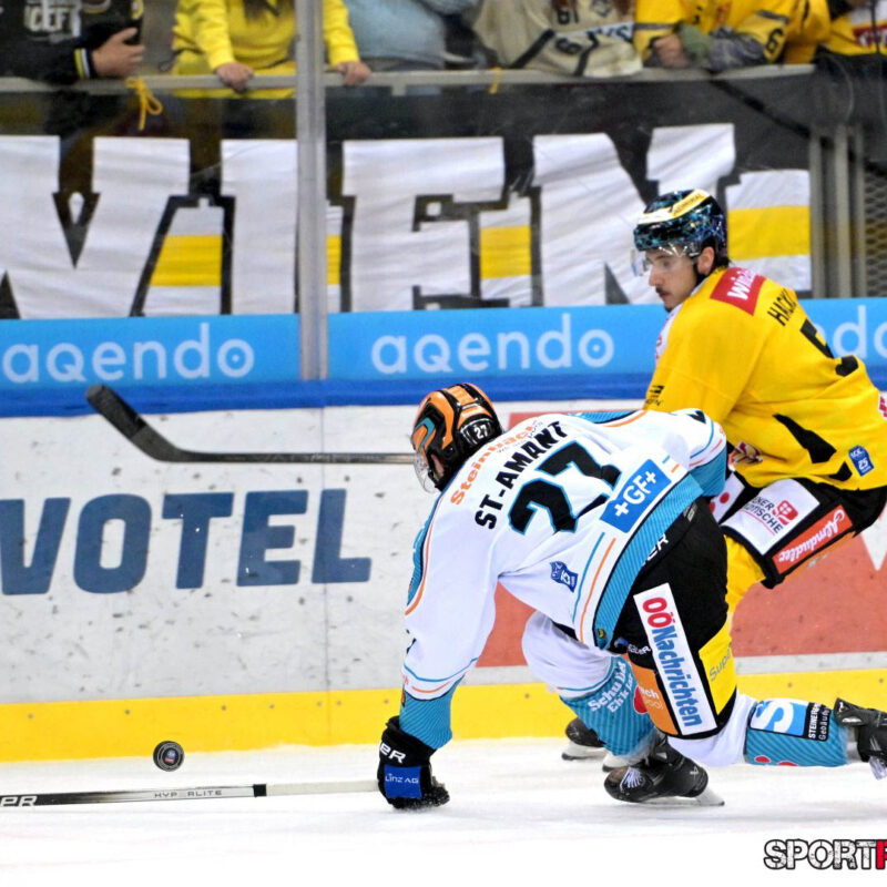 Vienna Capitals – Black Wings Linz