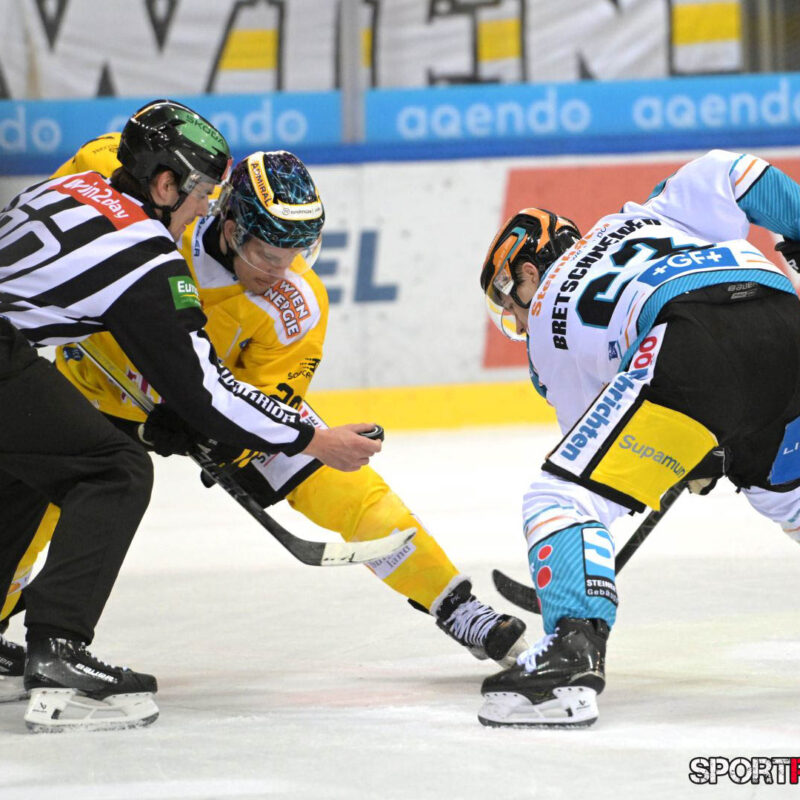 Vienna Capitals – Black Wings Linz