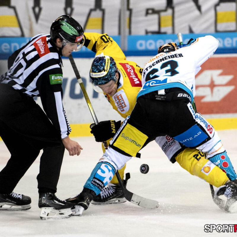 Vienna Capitals – Black Wings Linz