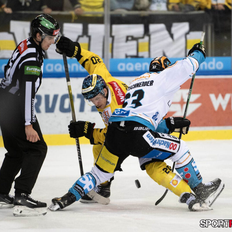 Vienna Capitals – Black Wings Linz