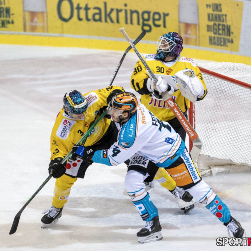 Vienna Capitals – Black Wings Linz