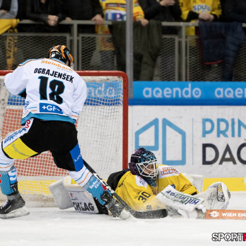 Vienna Capitals – Black Wings Linz