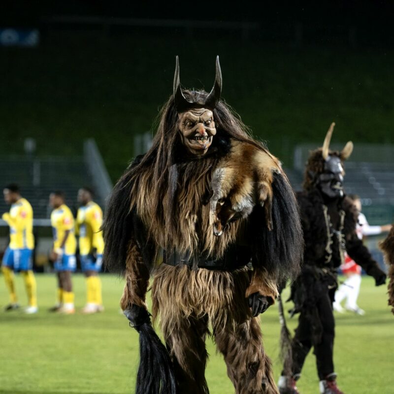 First Vienna – FC Liefering