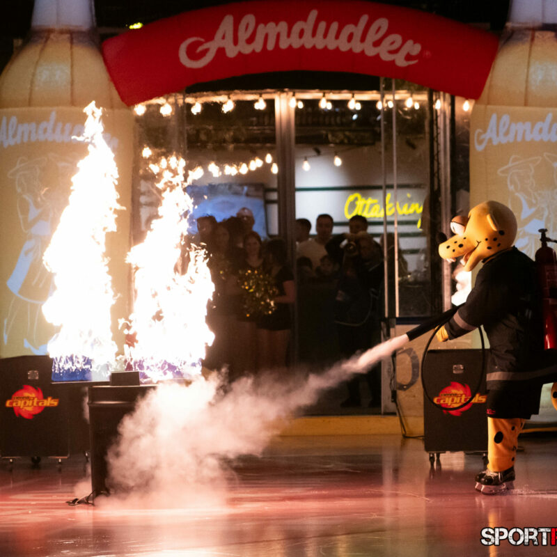 Vienna Capitals – Olimpija Ljubljana