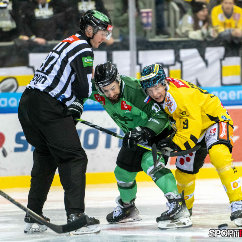 Vienna Capitals – Olimpija Ljubljana