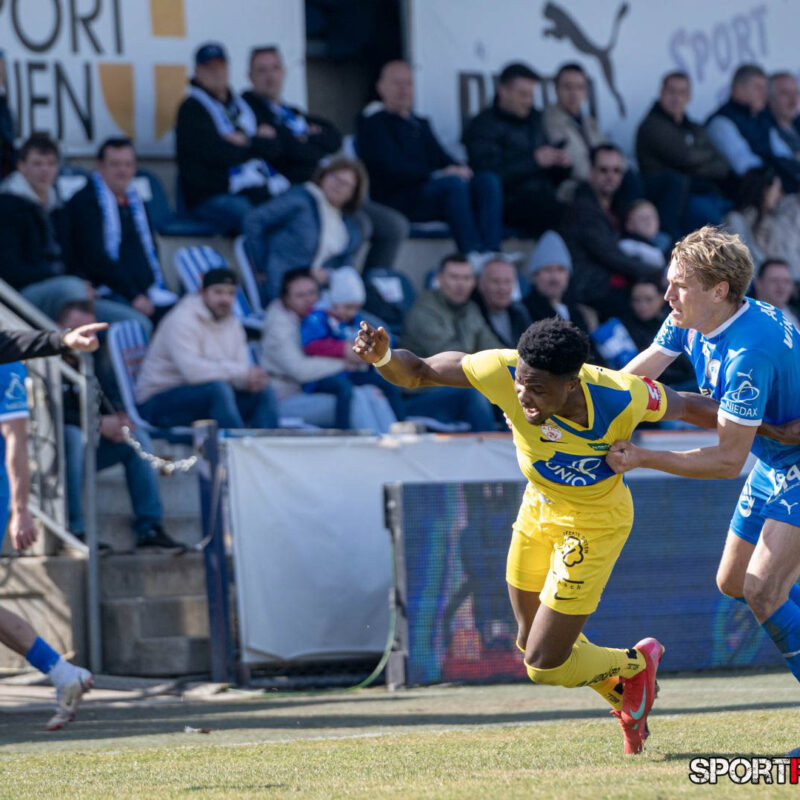 FAC – First Vienna